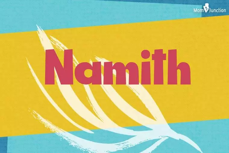 29. Namith Software